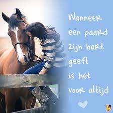 Wanneer Een Paard Zijn Hart Geeft Is Het Voor Altijd Paardencitaten Grappige Paarden Paarden