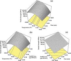 Image result for Girardinia bullosa