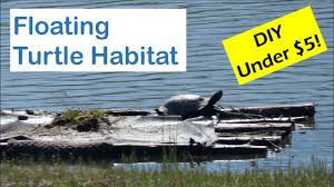 Floating docks for ponds, available in 4' x 16', 4' x 18' and 4' x 20' sizes. Diy Pond Turtle Basking Platform Youtube