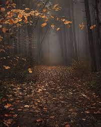 Robin Stanfill On Twitter Autumn Scenery Scenery Autumn Scenes