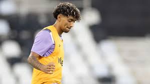 R$ 70 milhões: site argentino revela obrigação de compra de Cristian Medina pelo Botafogo por meta