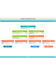 organizational chart template 59 free templates in pdf