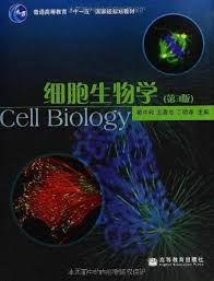 Amazon.com: Cell Biology ( 3rd Edition ) Third Edition Zhai . Wang Xizhong  . Ding Mingxiao editor(Chinese Edition): 9787040207668: ZHAI ZHONG HE .  WANG XI ZHONG . DING MING XIAO ZHU BIAN: Libros