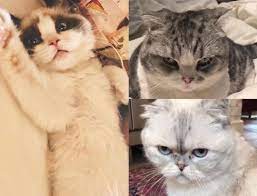 Taylor How Are Our Ladies Holding Up With This Cutie Benjamin Button Taylor Swift Cute Taylor Swift Pictures Taytay