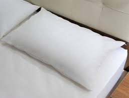 Is encasing a word in the scrabble dictionary? Anti Mite Pillow Encasing