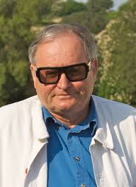 Art balinais, origines