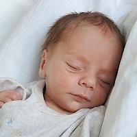 Neues Daheim für Bitscher Pony