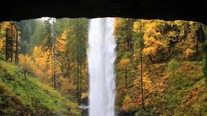 Check spelling or type a new query. 5 Best Easy Hikes At Silver Falls State Park Kgw Com