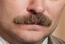 30 Dirty Ron Swanson Mustache Pics To Give 