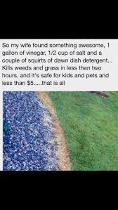 By tweaking little things in your daily life, it can make your life much easier. Pin On Garten
