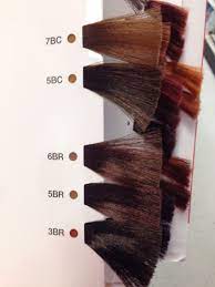 Matrix So Color Brown Copper And Brown Red Swatches Matrix Hair Color Hair Color Swatches Matrix Hair Color Chart
