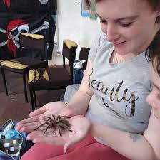 How do YOU feel about spiders, Loud Crowd? Would you pet a tarantula?