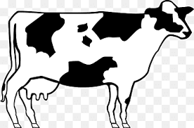 Check spelling or type a new query. Livestock Png Images Pngwing
