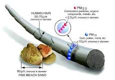 Image result