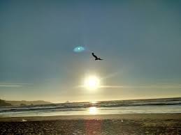 Pin En Tiempo Real Alex