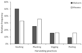 Image result for Lannea katangensis