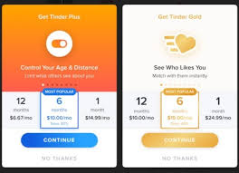 How to cancel gold subscription on windows. How To Cancel Tinder Subscription On Iphone And Android Regendus