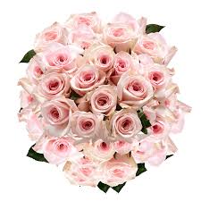 Check spelling or type a new query. Light Pink Roses Mother S Day Flowers Cheap Globalrose