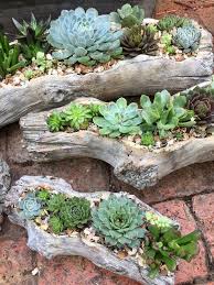 Pin De Helene En Vetplanten Maceteros De Jardin Jardineria En Macetas Decoraciones De Jardin