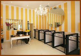 Our groomers have at least a minimum of two years' experience with senior and special needs pets, and our comfortable working with all breeds of dogs and cats. Dog Grooming Tips Dog Grooming Tips Dog Grooming Photography Dog Grooming Styles Maltes Dog Grooming Salons Dog Grooming Salon Decor Grooming Salon