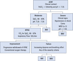 Oximizer (reservoir nasal cannula) delivers 100% when breathed in. Scielo Brasil Eficacia E Seguranca Da Oxigenoterapia Com Canula Nasal De Alto Fluxo Na Insuficiencia Respiratoria Hipercapnica Moderada Aguda Eficacia E Seguranca Da Oxigenoterapia Com Canula Nasal De Alto Fluxo
