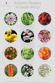Autumn Wedding Flowers In South Africa Pink Book Fall Wedding Flowers Autumn Wedding Seasonal Flowers