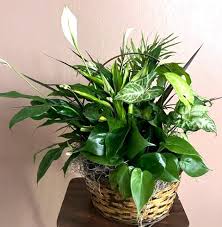 Obituary: Bill Kuxhaus