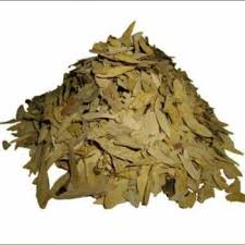 We did not find results for: Jual Daun Sena Teh Jati Cina Belanda Teh Pelangsing Dan Lancar