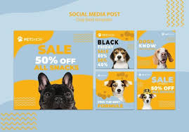 Pin On Social Media