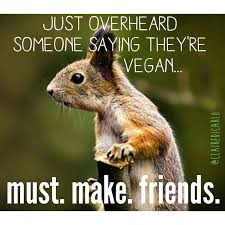 Pin On Vegan Be Their Voice Make A Difference