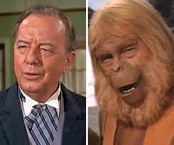 FLASHBACK: 25 year old Zira as a field medic/psychologist during her  obligatory military service in the Ape Army Medical Corps.