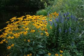 How does your garden grow. Growing In The Off Season Native Perennials From Seed Ecological Landscape Alliance