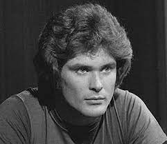 So drink the summer wine, reach for the stars while you have time. David Hasselhoff Snapper The Young And Restless 1975 1982 David Music Star Young And The Restless