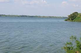 He is a director at centum investment company limited, a business conglomerate in which he is the largest individual. Brazille Musumba On Twitter Compare That Lake Kirubi With What I Have On My Backward The Whole Lake Vic