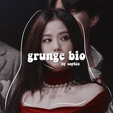 Aesthetic Bio Template Amino Copy And Paste Short Grunge Bio Wiki Templates And Stuff Amino