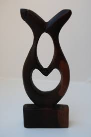 Image result for Diospyros crassiflora