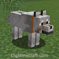 How To Change The Collar Color For A Tamed Wolf In Minecraft