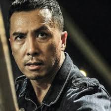 Donnie Yen Movies Ranked by Tomatometer