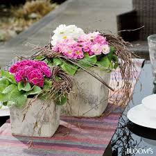 Bildergalerie Bloom S Deko Ideen Mit Blumen Und Pflanzen Fruhlingspflanzen Blumengestecke Bepflanzung