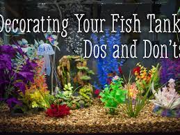 If you aren't sure the about water needs, feel the potting mix carefully with your fingers. How To Decorate Your Fish Tank Dos And Don Ts Pethelpful