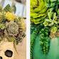 Beer and Blossoms: Succulent Skull/Succulent Pumpkin