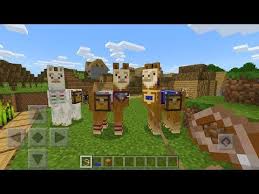 How To Tame Ride And Control Llamas In Minecraft Pocket Edition Youtube Minecraft Minecraft Pocket Edition Llama
