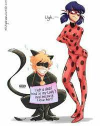 Pin By Tatu Gramajo On Marienkafer Miraculous Ladybug Anime Miraculous Ladybug Comic Miraculous Ladybug Memes