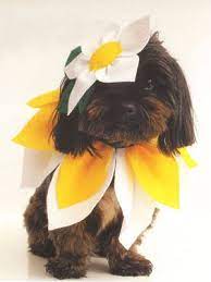 50 Dog Costumes That Get Your Pup In On The Halloween Fun Pet Halloween Costumes Cute Dog Costumes Diy Dog Costumes