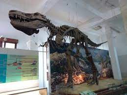 On october 3, 2013 october 3, 2013 by yuni. Tiket Museum Geologi Bandung Foto Museum Geologi Bandung Tripadvisor