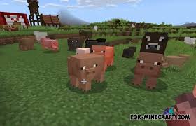 This help article refers to minecraft for xbox one, mobile, vr, and windows 10 and nintendo switch. Vanilla Mob Variants Addon For Minecraft Bedrock 1 16