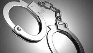 Maalaimalar News: Pudukottai near elderly jewelry robbery 3 womans arrest