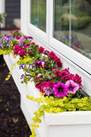 Beachy window box in caribbean turquoise, lime green with pops of pink, orange and red flowers. Window Boxes That Won T Fall Apart The Lilypad Cottage