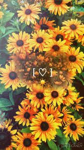 Image Result For Happy Spring Aesthetic Chill Sunflower Wallpaper Flower Wallpaper Tumblr Backgrounds