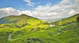 An entire article about the tallest mountains in the world can be written about the himalayan range. Stunning Peaks 5 Best Mountains To Climb In Malaysia